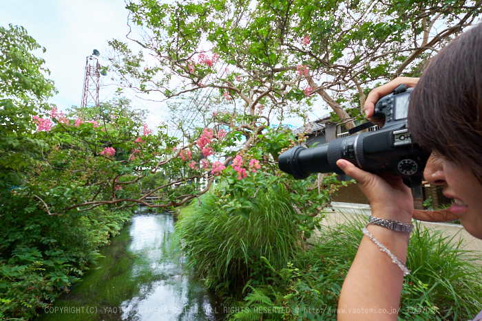 XT2F3671,10 mm_2017yaotomi 2.jpg