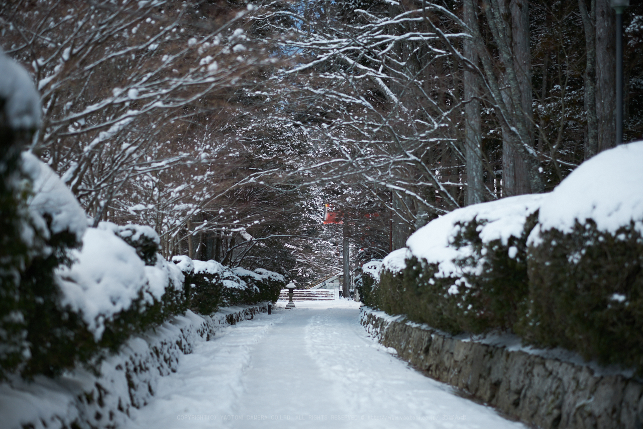 https://www.yaotomi.co.jp/blog/walk/XT2F8406%2C56%20mm1.2_yaotomi.jpg