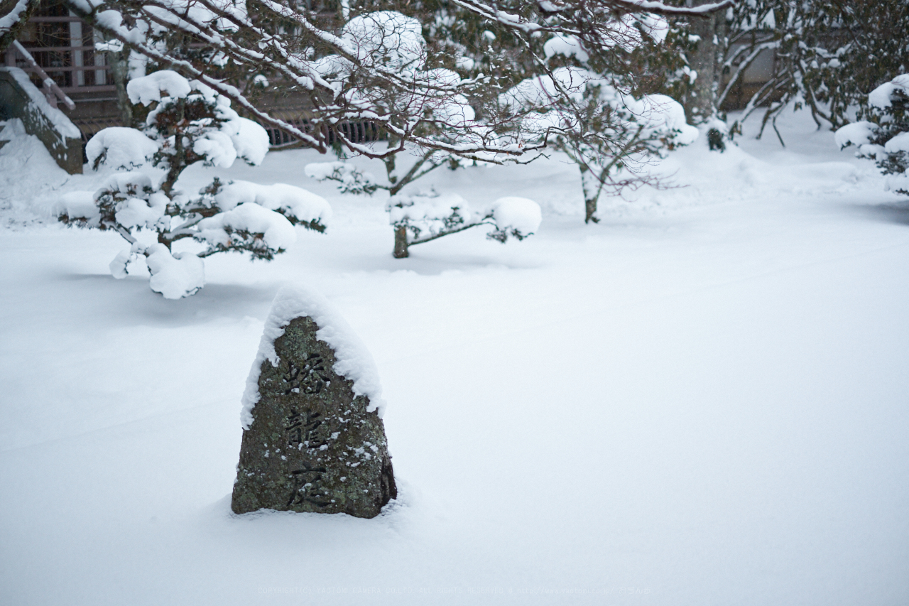 https://www.yaotomi.co.jp/blog/walk/XT2F8630%2C35%20mm1.4_yaotomi.jpg