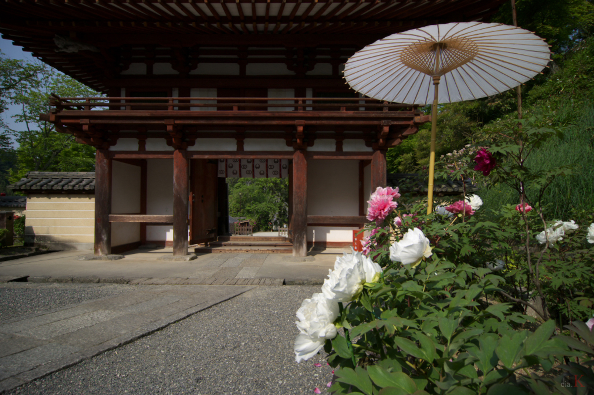 Da 12 24 F 4 明日香 岡寺 牡丹 お写ん歩