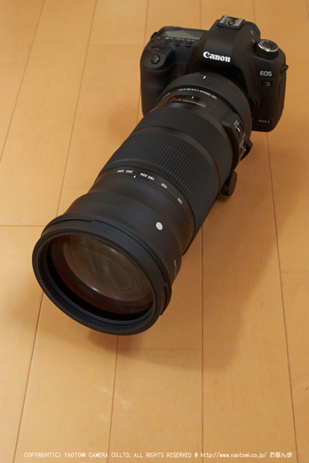 SIGMA,120-300F2.8EXDGOSHSM_2013yaotomi_1.jpg