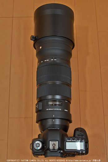 SIGMA,120-300F2.8EXDGOSHSM_2013yaotomi_7.jpg