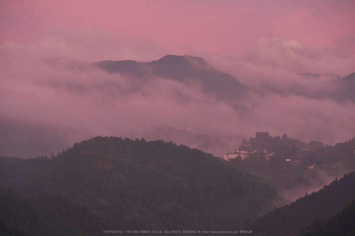 吉野山,夕景_P1000584,2017yaotomi.jpg