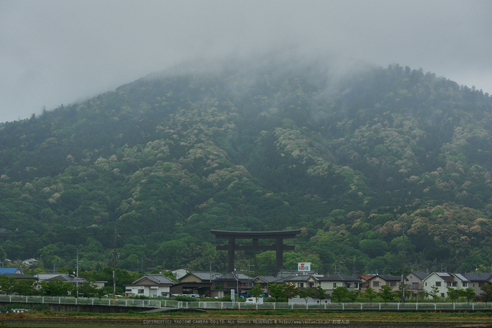 大神神社,雨_P1000343,2017yaotomi.jpg