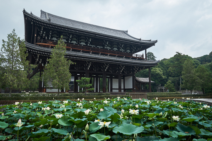 XT2F2674,17 mm_2017yaotomi.jpg