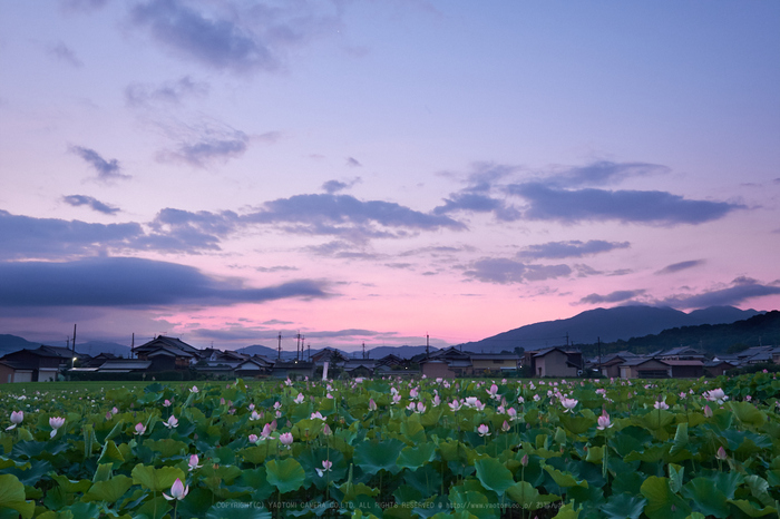 XT2F2909,19 mm_2017yaotomi 1.jpg