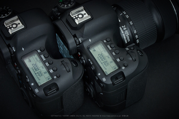 キヤノン Canon EOS 6D MarkII を使ってみました ／ Canon EF24-105mm 