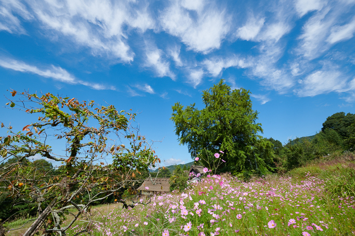 DSC_2073,14 mm,17-09-30_yaotomi.jpg