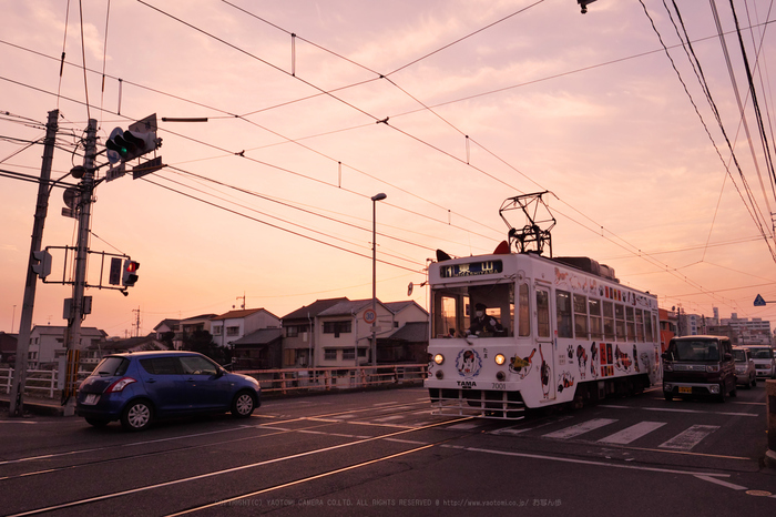 P1001133(RAW)ps,12 mm5.6_yaotomi.jpg