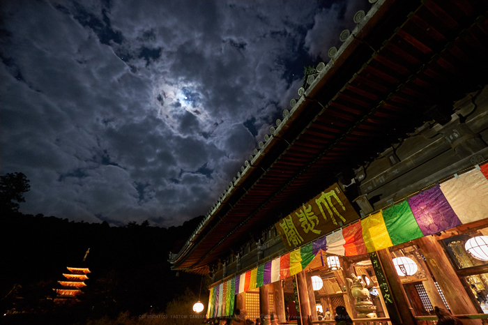 XT2F7214,10 mm4_yaotomi.jpg