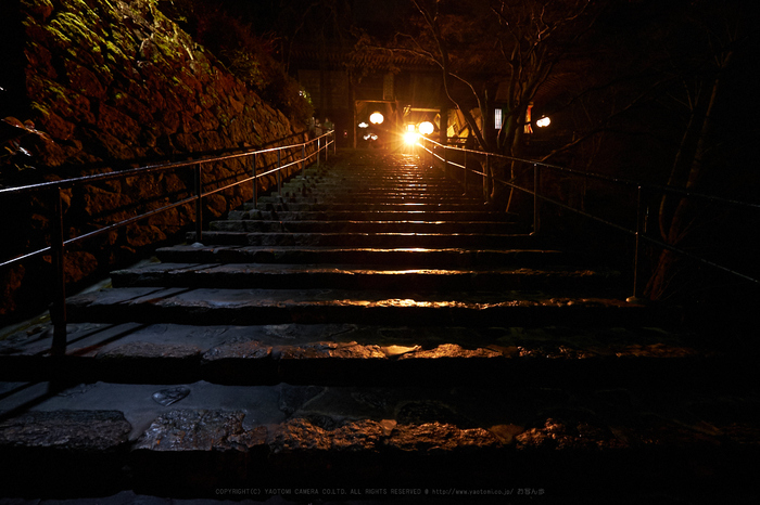 XT2F7243,10 mm6.4_yaotomi.jpg