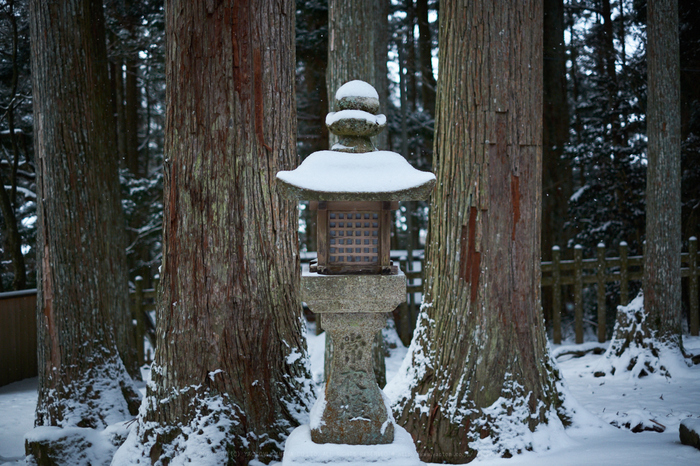 XT2F8499,35 mm1.4_yaotomi.jpg