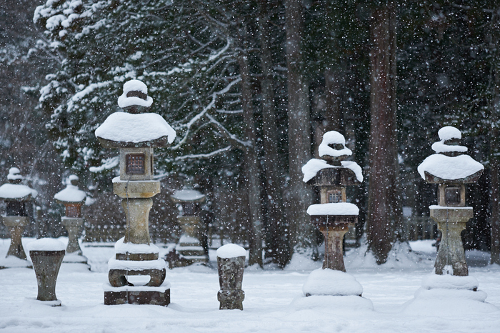 XT2F8557,90 mm2_yaotomi.jpg