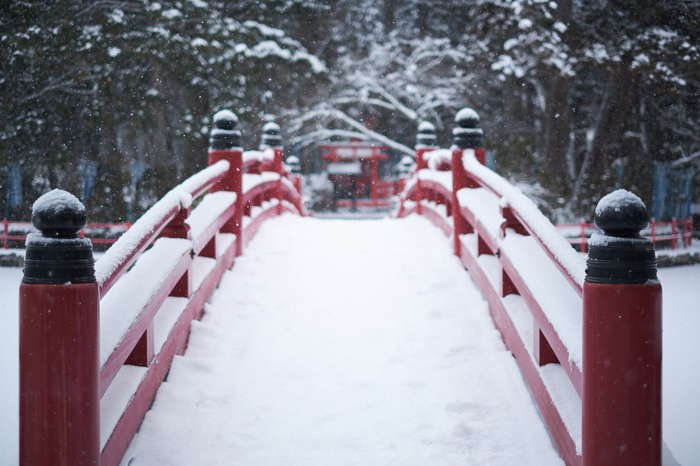 XT2F8578,35 mm1.4_yaotomi.jpg