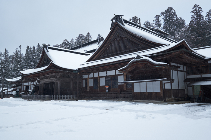 XT2F8594,20 mm7.1_yaotomi.jpg