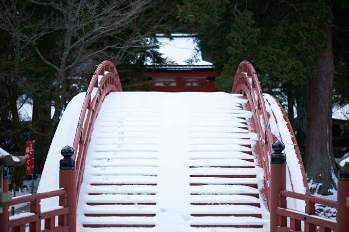 XT2F8746,56 mm1.2_yaotomi.jpg