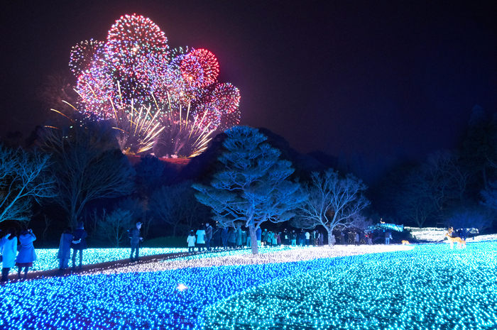 奈良 奈良公園 なら瑠璃絵 18 Pentax Kp お写ん歩