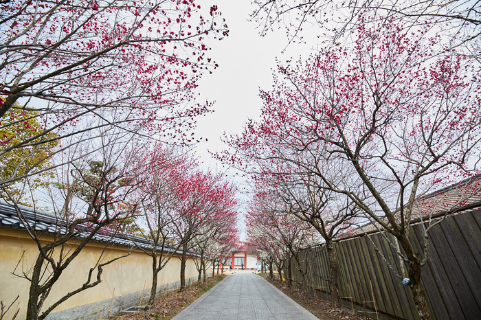 IMG_8776_14 mm_F6.3_2018yaotomi.jpg