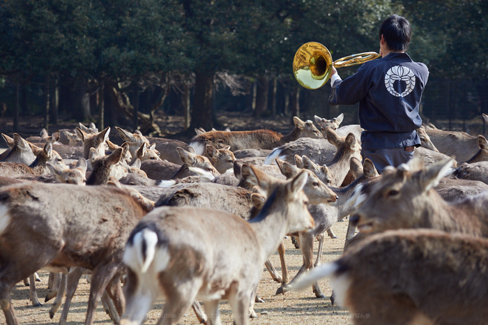 P2240129_100 mm_F4_2018yaotomi.jpg