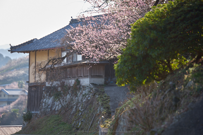 PK1_0375_170 mm_F2.8_2018yaotomi.jpg