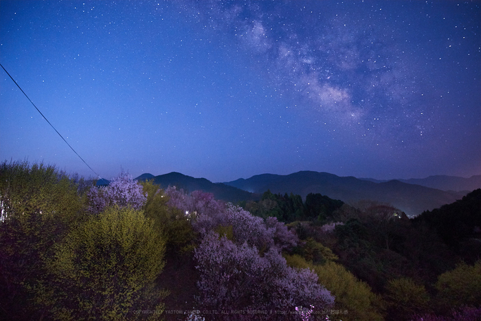 PK1_0821_15 mm_F3.2_2018yaotomi.jpg