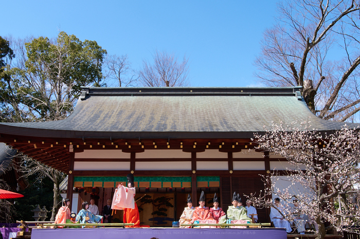 PKP_6596_24 mm_F8_2018yaotomi.jpg