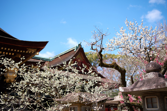 PKP_6659_26 mm_F1.8_2018yaotomi.jpg