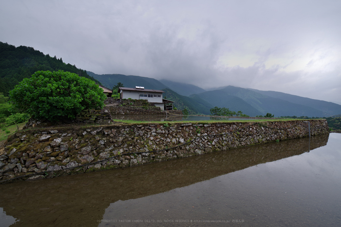 K1II2711_15 mm(F13)iso100_2018yaotomi.jpg