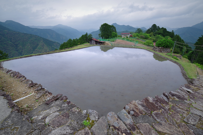 K1II2717_15 mm(F13)iso100_2018yaotomi.jpg