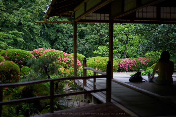 7II01321_50 mm(F1.4)iso100_2018yaotomi.jpg