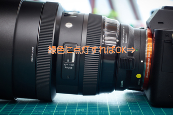 SIGMA 100-400mm F5-6.3 DG OS HSM | Contemporary と MOUNT CONVERTER 