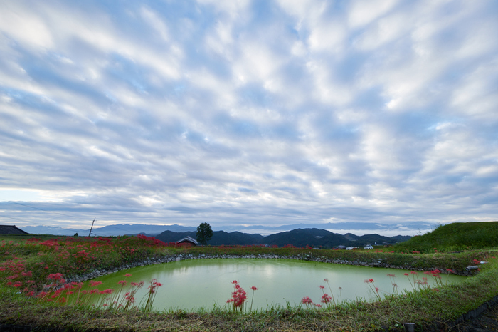 IMG_3654_12 mm(F20)iso100_2018yaotomi.jpg