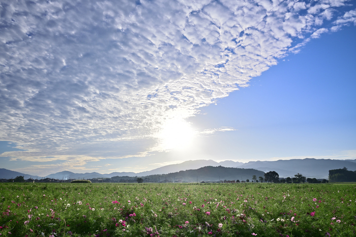 DSC_0296NX-D_24 mm(F11)iso100_2018yaotomi.jpg