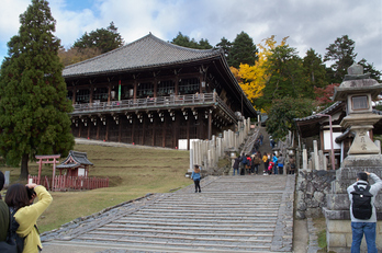 PKP_7255_21 mm(F8)iso200_2018yaotomi.jpg