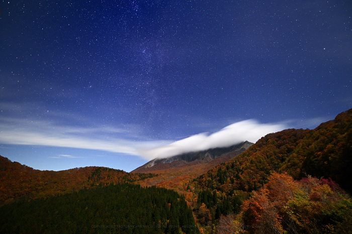 DSC_1503NDX_01,15 mm,F2.8_iso2000_2018yaotomi 1.jpg