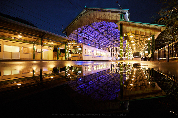 IMG_9326_14 mm(F2.8)iso1600_2018yaotomi.jpg