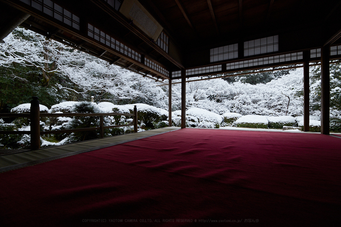 IMG_9702_14 mm(F8)iso250_2018yaotomi.jpg