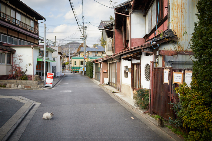 IMG_2044_28 mm(F1.4)iso100_2018yaotomi.jpg