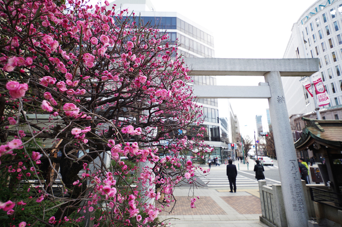 PKP_7624,11 mm,F2.8,1-250 秒,iso100.jpg