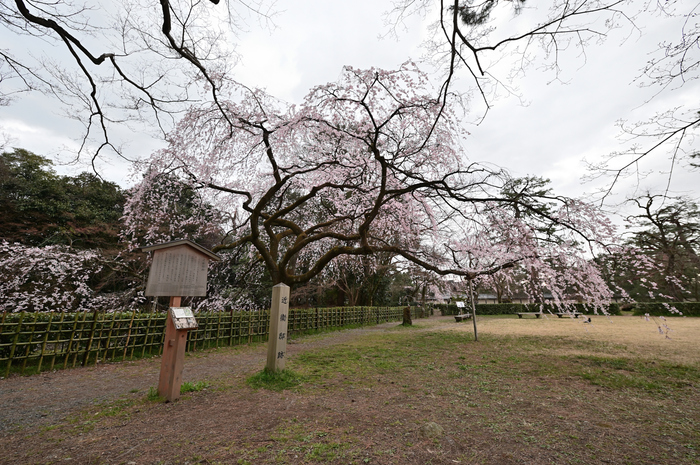 DSC_1168_NDX,14 mm,F8,1-13 秒,iso900.jpg