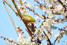 P2230547,200 mm,F6.3,1-250 秒,iso200.jpg