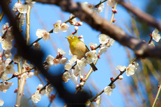 P2230672,200 mm,F6.3,1-320 秒,iso200.jpg