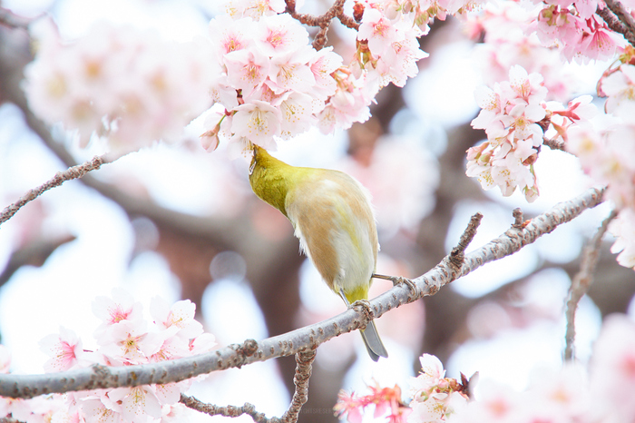 P2270540,200 mm,F6.3,1-80 秒,iso400.jpg