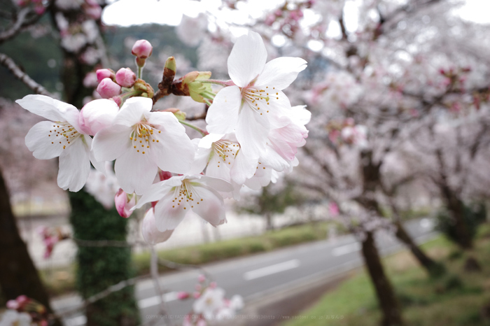 R0000838,18 mm,F7.1,1-30 秒,iso200.jpg