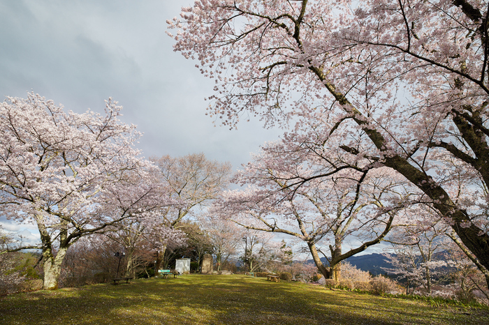 IMG_4954,17 mm,F9,1-160 秒,iso100 1.jpg