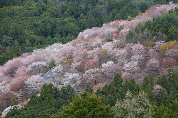 IMG_4968,110 mm,F9,1-125 秒,iso400.jpg