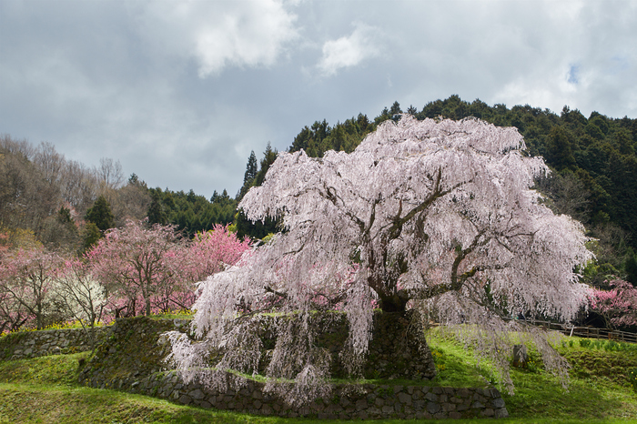 IMG_5186,57 mm,F8,1-250 秒,iso100.jpg