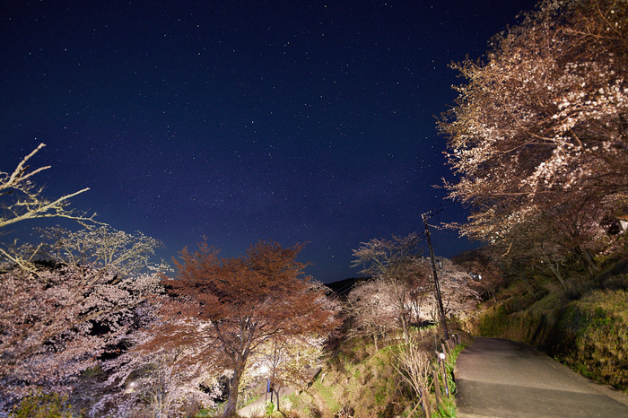 IMG_5305,14 mm,F2,5 秒,iso1600.jpg