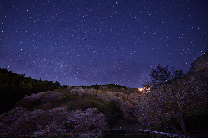 IMG_5330,14 mm,F2,20 秒,iso3200.jpg