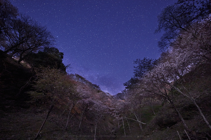 IMG_5344,14 mm,F2,20 秒,iso6400.jpg